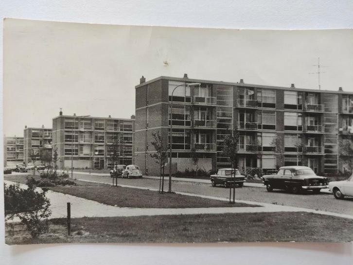 M981, Verzamelen, Ansichtkaarten | Nederland, Zuid-Holland, 1920 tot 1940, Ophalen of Verzenden