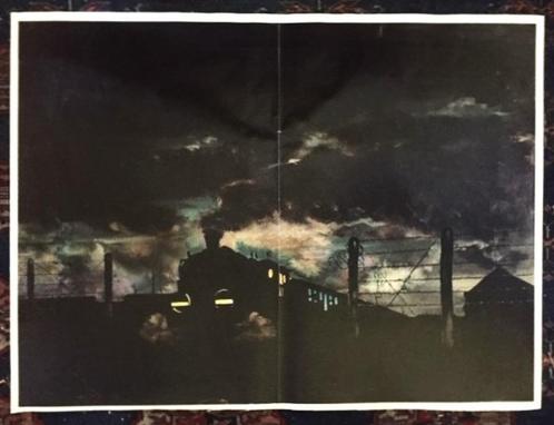Poster Trein Westerbork W.O.2 graficus Werner Lowenhard, Antiek en Kunst, Kunst | Litho's en Zeefdrukken, Ophalen of Verzenden