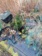 Vijverbak met goudvissen, planten, fontijn en pomp, Ophalen, Zo goed als nieuw