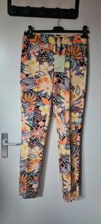 Broek ivy beau maat 34 nieuw, Ophalen of Verzenden, Nieuw, Maat 34 (XS) of kleiner