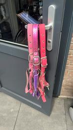 Harry’s horse/ HKM halsters, Ophalen of Verzenden, Gebruikt, Recreatie