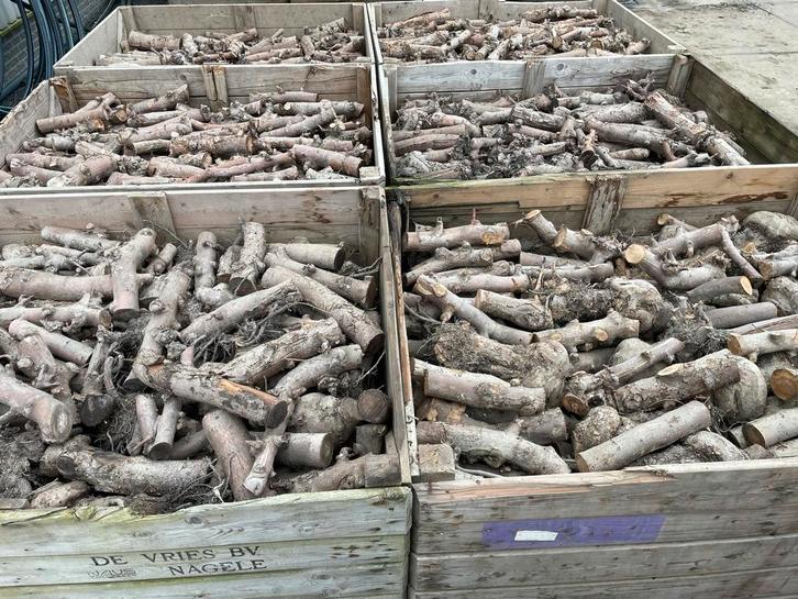 🍎🔥🪵. Kurkdroog appelhout haardhout, 2,2 kuub🪵🔥🍎, Tuin en Terras, Haardhout, Blokken, Overige houtsoorten, 6 m³ of meer, Ophalen