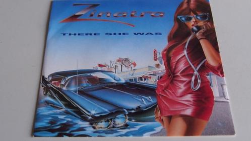 NL rock vinyl single 1990 ZINATRA there she was /uit Limburg, Cd's en Dvd's, Vinyl Singles, Single, Pop, 7 inch, Ophalen