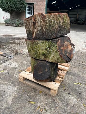 Eiken Schijven 30cm - Decoratief Hout beschikbaar voor biedingen