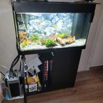 Jewel aquarium, Dieren en Toebehoren, Vissen | Aquaria en Toebehoren, Ophalen