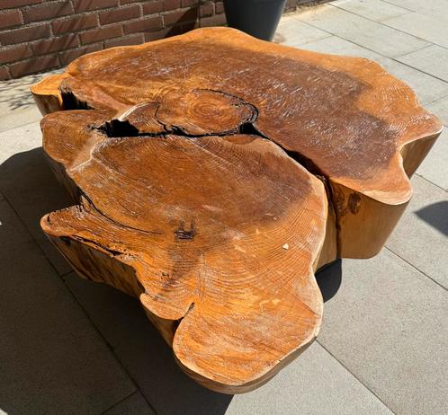 Super mooie boomstam salontafel, Huis en Inrichting, Tafels | Salontafels, Minder dan 50 cm, 100 tot 150 cm, Rechthoekig, Ophalen of Verzenden