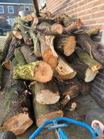 +-/ 6 kub hout wilg, els, beuk door elkaar, Tuin en Terras, 3 tot 6 m³, Ophalen of Verzenden, Overige houtsoorten, Stammen