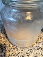 Zuurdesem starter 50 gram, Ophalen