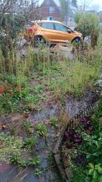 Tuinhulp de Haan, Diensten en Vakmensen, Tuinmannen en Stratenmakers, Tuinonderhoud of Snoeiwerk