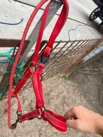 Paardenspullen te koop, Dieren en Toebehoren, Ophalen of Verzenden, Gebruikt