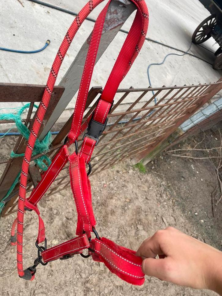 Paardenspullen te koop, Dieren en Toebehoren, Paarden en Pony's | Overige Paardenspullen, Gebruikt, Ophalen of Verzenden