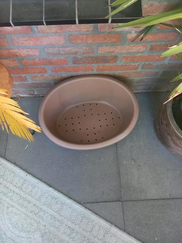 Hondenmand beschikbaar voor biedingen