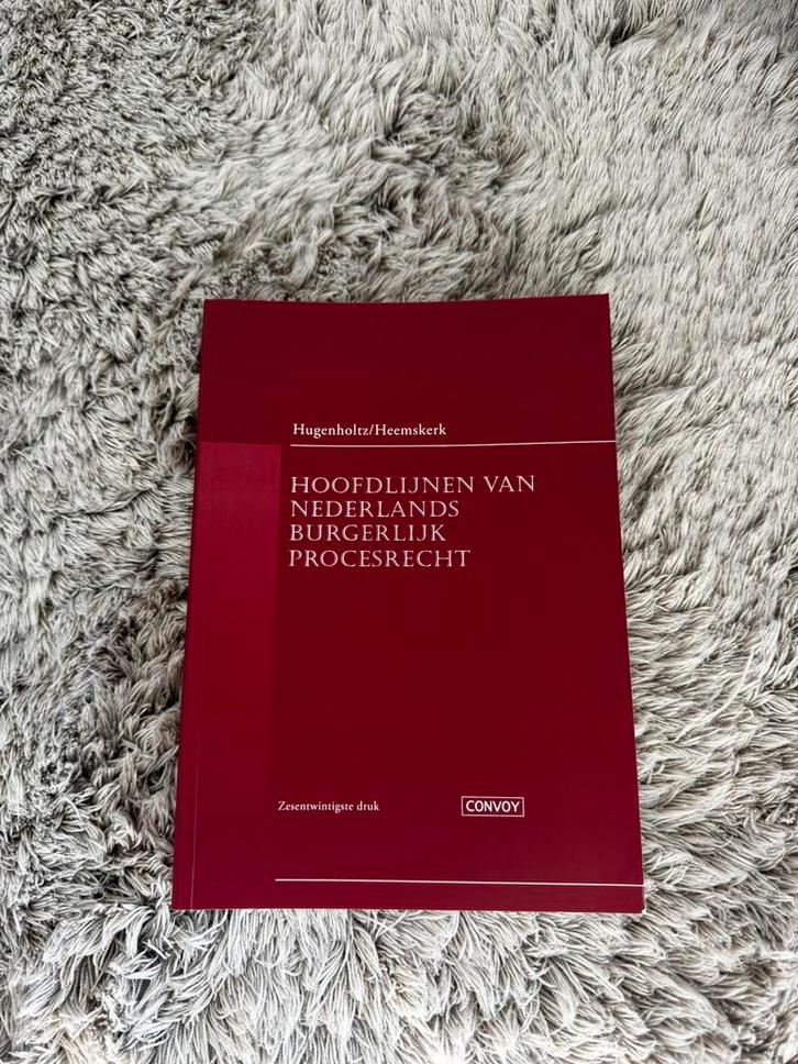 Hoofdlijnen van Nederlands Burgerlijk Procesrecht, Boeken, Wetenschap, Zo goed als nieuw, Ophalen of Verzenden