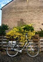 RIH Elektrische Fiets (Hoog Actieradius), Zo goed als nieuw, 50 km per accu of meer, 55 tot 59 cm, Ophalen