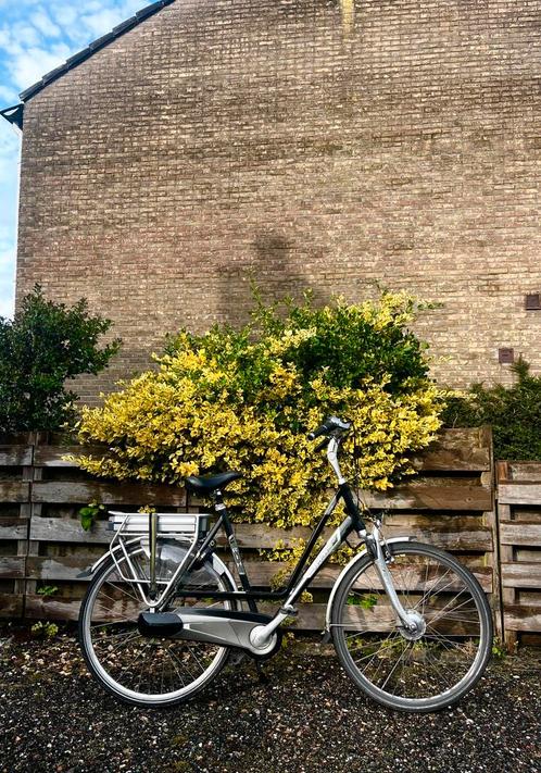 RIH Elektrische Fiets (Hoog Actieradius), Fietsen en Brommers, Elektrische fietsen, Zo goed als nieuw, Overige merken, 55 tot 59 cm