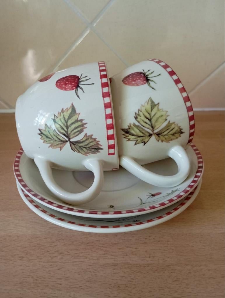 2 kop en schotels Jet ter Steege, Ophalen of Verzenden, Zo goed als nieuw, Overige stijlen, Kop(pen) en/of Schotel(s)