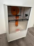 Omlet qute hamsterkooi, Dieren en Toebehoren, Kooi, Gebruikt, Minder dan 75 cm, Ophalen