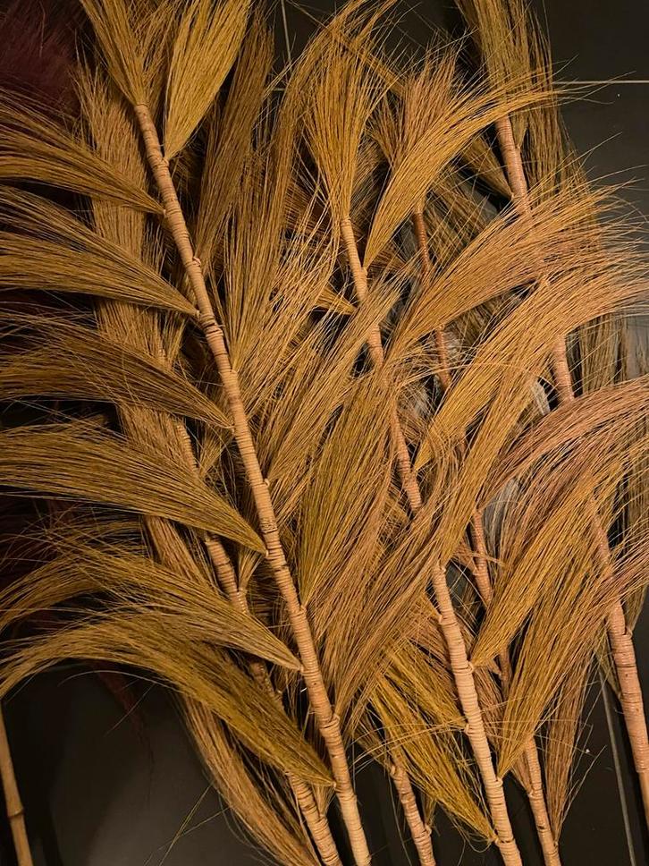 Rayung pluimen geel en paars - alleen ophalen, Huis en Inrichting, Woonaccessoires | Droogbloemen, Gebruikt, Ophalen of Verzenden