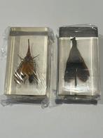 Insecten in acrylhars, Ophalen of Verzenden, Zo goed als nieuw, Opgezet dier