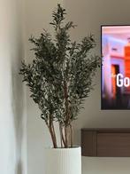 Pretttplant olijfboom 180cm VASTE PRIJS!, Huis en Inrichting, Woonaccessoires | Kunstplanten en Kunstbloemen, Ophalen of Verzenden