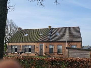 Dak reiniging beschikbaar voor biedingen