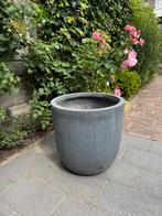Stijlvolle lichtgrijze betonlook bloempot van fiberclay, Ophalen, Tuin, Kunststof, Gebruikt