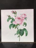 Eén écht rozenschilderij. Mooie tak roze roos met groen blad, Antiek en Kunst, Kunst | Schilderijen | Klassiek, Ophalen of Verzenden