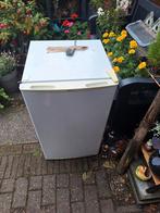 Koelkast proline, Ophalen, Zonder vriesvak, Minder dan 85 cm, Zo goed als nieuw