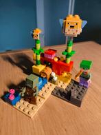 Lego Minecraft The Coral Reef 21164, Kinderen en Baby's, Speelgoed | Duplo en Lego, Ophalen of Verzenden, Zo goed als nieuw, Complete set