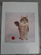 Carolien Klein Goldewijk kattenposter, Ophalen of Verzenden