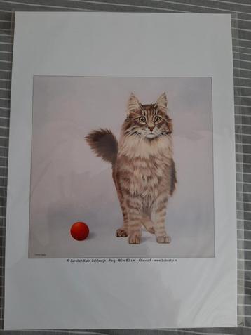 Carolien Klein Goldewijk kattenposter beschikbaar voor biedingen
