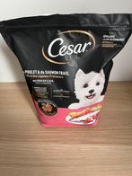 Hondenbrokken, Ophalen of Verzenden, Hond