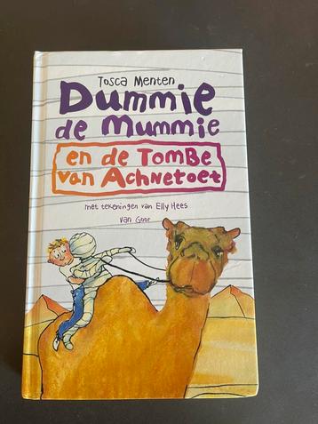 Dummie de mummie  beschikbaar voor biedingen