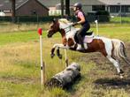 Bijrijder gezocht, Dieren en Toebehoren, Paarden en Pony's | Verzorgingsproducten, Ophalen
