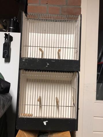 Zangkooitjes  beschikbaar voor biedingen