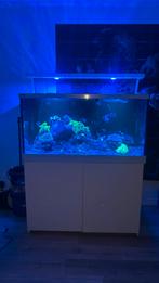 RedSea 500 S-Max zee aquarium Compleet, Zo goed als nieuw, Ophalen, Leeg aquarium