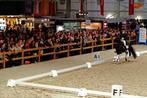 Dressuurpistes 20x60m uit verhuur. Tegen gereduceerde prijs, Ophalen, Zo goed als nieuw, Dressuur