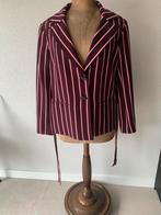 Jasje + Broek Donkerrood/Bordeaux nieuw mt XL zie maten, Kleding | Dames, Jasjes, Kostuums en Pakken, Kostuum of Pak, Overige kleuren