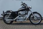 HARLEY-DAVIDSON SPORTSTER CUSTOM  XL 53 C (bj 2003), Motoren, Motoren | Harley-Davidson, 2 cilinders, Bedrijf, 883 cc, Meer dan 35 kW