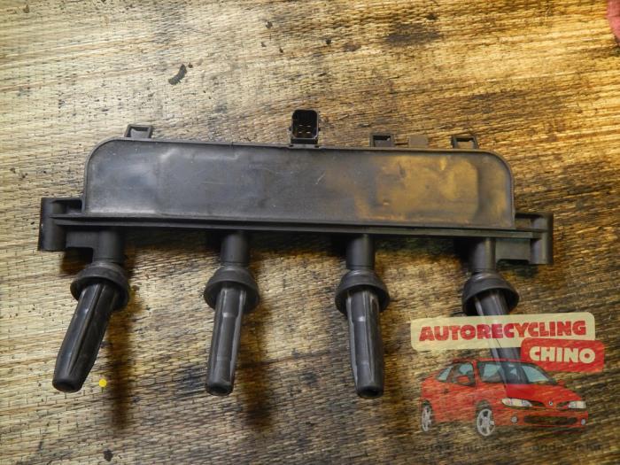 Bobine van een Peugeot 206, Auto-onderdelen, Motor en Toebehoren, Peugeot, Gebruikt, 3 maanden garantie, Ophalen