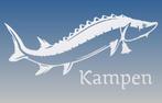 Kampersteur Sticker recht met tekst Wit, Ophalen of Verzenden
