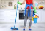 I am looking for house cleaning in Haarlem