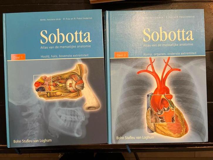 Sobotta Atlas Menselijke Anatomie Deel 1 & 2, Boeken, Studieboeken en Cursussen, Zo goed als nieuw, WO, Beta, Ophalen of Verzenden