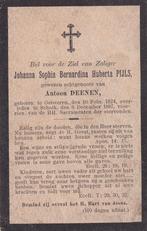 Pijls Johanna 1824 Geisteren  1897 Schaik, Verzamelen, Ophalen of Verzenden, Bidprentje