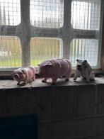 Set drie verschillende antieke spaarpotten gietijzer varken, Ophalen, Gebruikt, Metaal of Blik, Dier