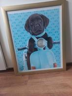 Poster in lijst 55x45cm, Ophalen of Verzenden, Zo goed als nieuw