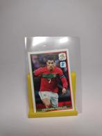 Ronaldo voetbal kaart 2012 ek panini nummer 31, Ophalen of Verzenden, Zo goed als nieuw, Sticker