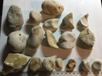 1 kg fossielen en mineralen vezamelen beschikbaar voor biedingen