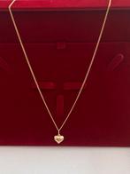 14 karaat gouden ketting met hanger, Met hanger, Nieuw, Ophalen of Verzenden, Goud