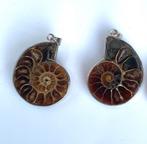 Ammoniet Hangers, Met hanger, Bruin, Nieuw, Ophalen of Verzenden